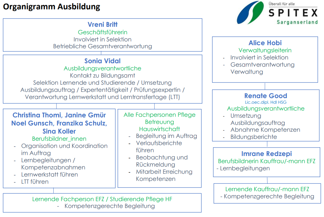 organigramm ausbildung